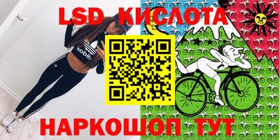 дживик Моздок